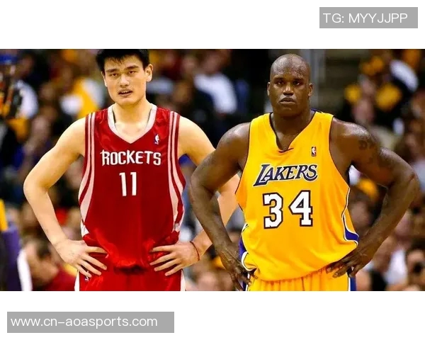 姚明与霍华德职业生涯数据对比分析及影响力探讨